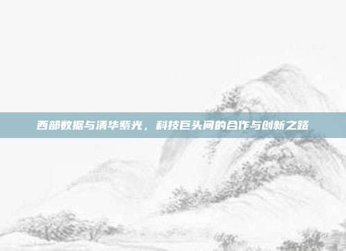 西部数据与清华紫光，科技巨头间的合作与创新之路