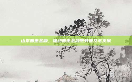 山东普惠金融，推动普惠金融服务普及与发展