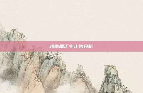 越南盾汇率走势分析