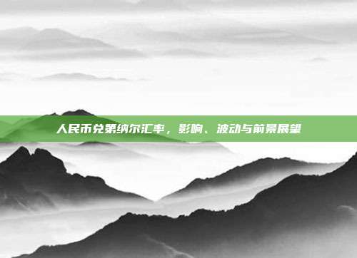 人民币兑第纳尔汇率，影响、波动与前景展望