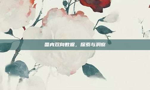 国内双向数据，探索与洞察