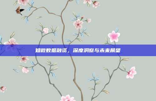 知微数据融资，深度洞察与未来展望