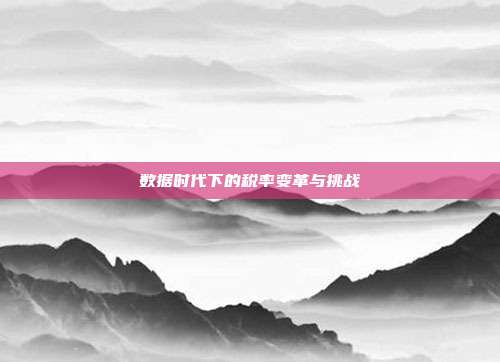 数据时代下的税率变革与挑战