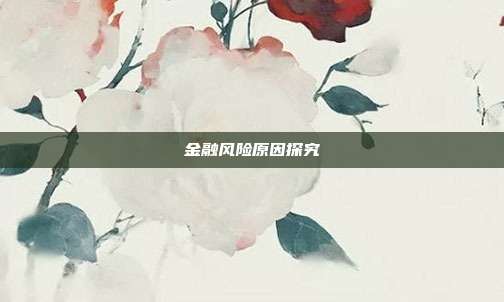 金融风险原因探究