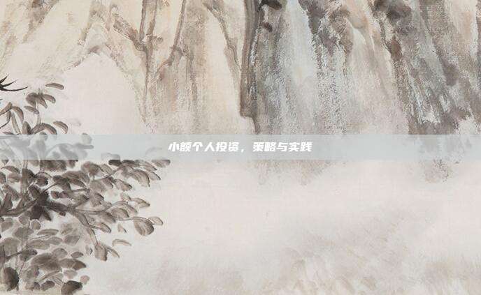 小额个人投资，策略与实践