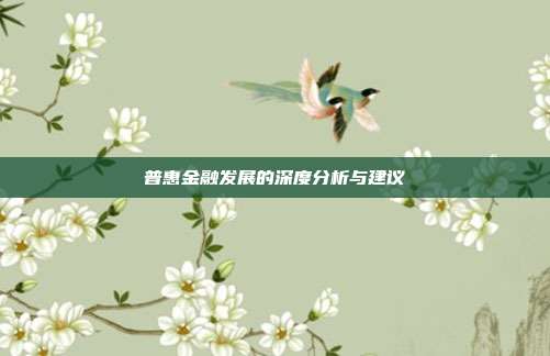 普惠金融发展的深度分析与建议