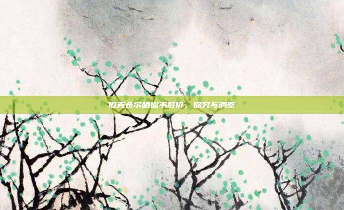 伯克希尔哈撒韦股价,探究与洞察