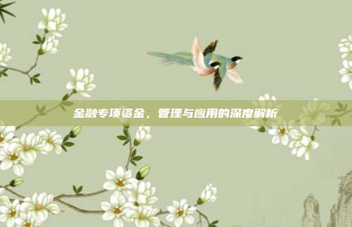 金融专项资金，管理与应用的深度解析