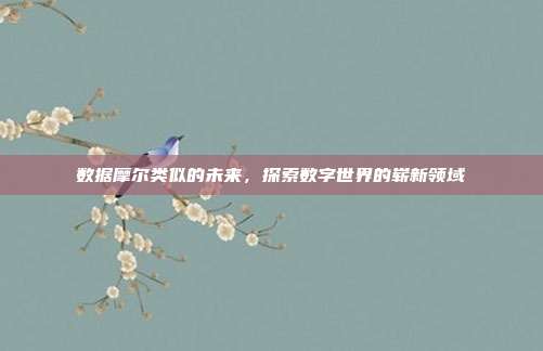 数据摩尔类似的未来,探索数字世界的崭新领域