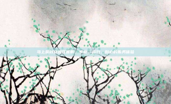 马上金融安逸花客服,专业、高效、贴心的服务体验