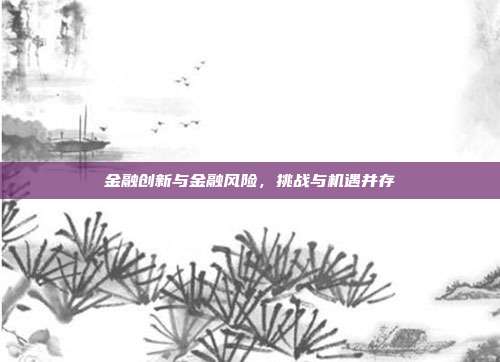 金融创新与金融风险,挑战与机遇并存