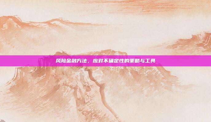 风险金融方法，应对不确定性的策略与工具