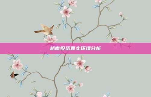 越南投资真实环境分析