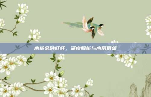 房贷金融杠杆，深度解析与应用展望