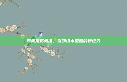 股权投资标准,引领资本配置的新纪元