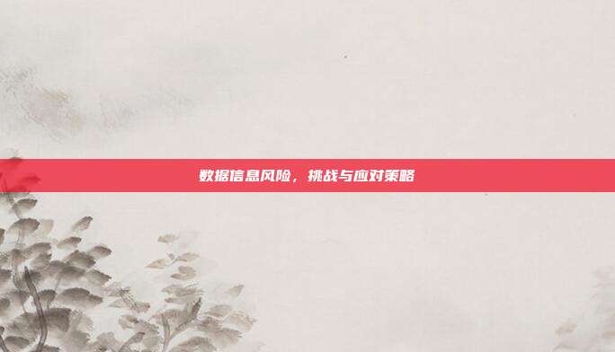 数据信息风险,挑战与应对策略