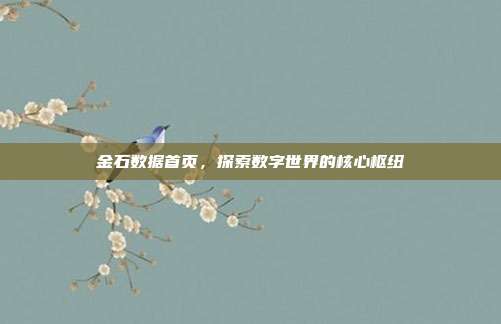 金石数据首页，探索数字世界的核心枢纽