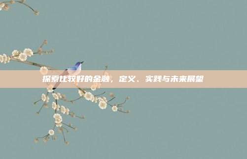 探索比较好的金融,定义、实践与未来展望