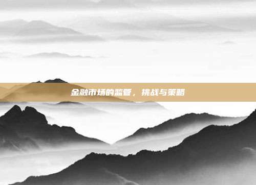 金融市场的监管，挑战与策略