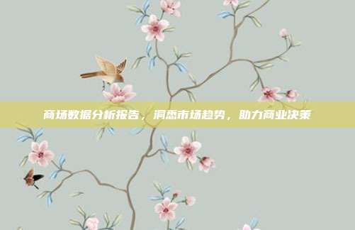商场数据分析报告，洞悉市场趋势，助力商业决策