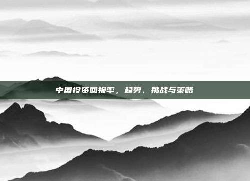 中国投资回报率,趋势、挑战与策略