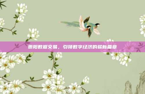 贵阳数据交易，引领数字经济的崭新篇章