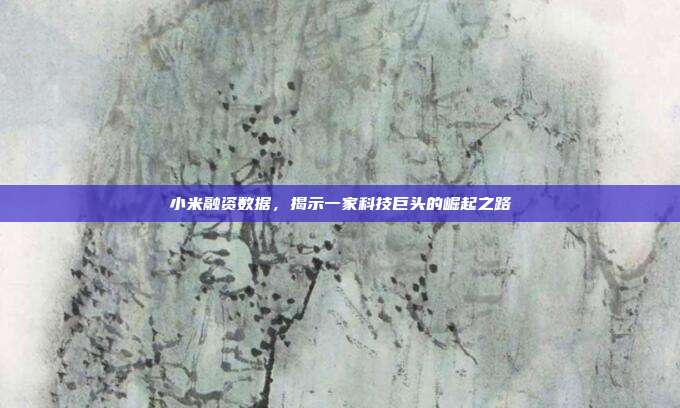 小米融资数据，揭示一家科技巨头的崛起之路