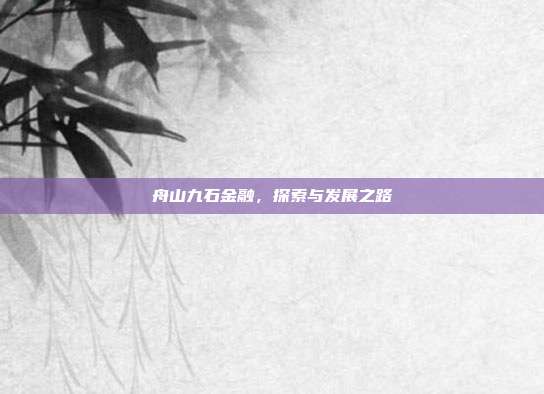 舟山九石金融，探索与发展之路