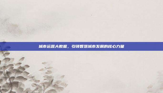 城市运营大数据,引领智慧城市发展的核心力量