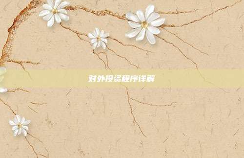 对外投资程序详解