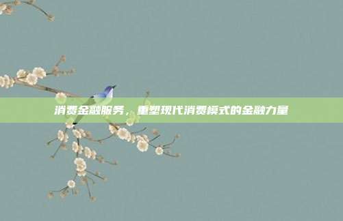 消费金融服务,重塑现代消费模式的金融力量
