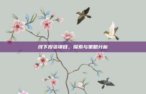 线下投资项目，探索与策略分析