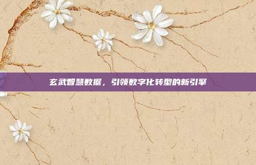 玄武智慧数据,引领数字化转型的新引擎