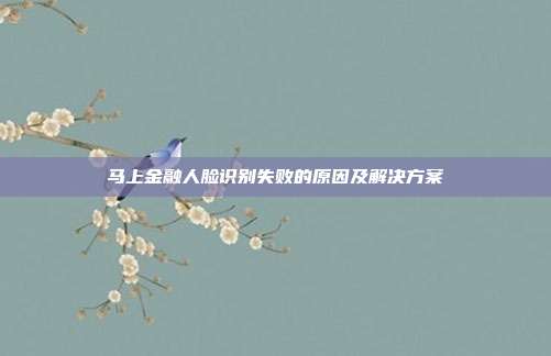 马上金融人脸识别失败的原因及解决方案