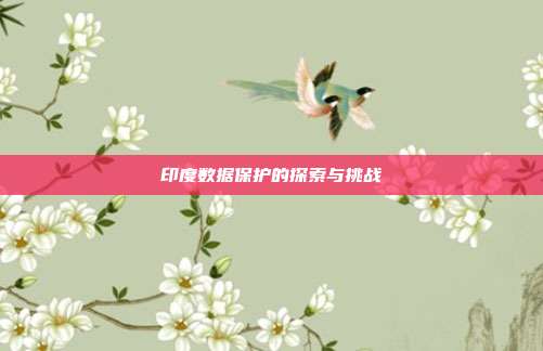 印度数据保护的探索与挑战