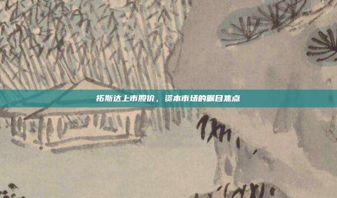 拓斯达上市股价，资本市场的瞩目焦点