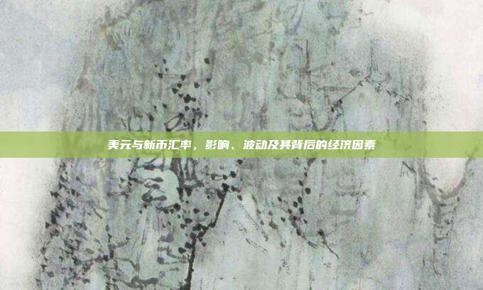美元与新币汇率，影响、波动及其背后的经济因素