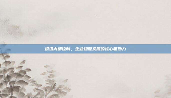 投资内部控制，企业稳健发展的核心驱动力