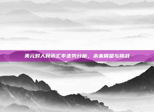 美元对人民币汇率走势分析，未来展望与挑战