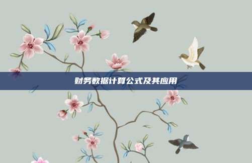 财务数据计算公式及其应用