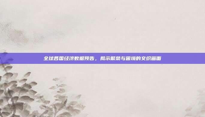 全球各国经济数据预告，揭示繁荣与困境的交织画面