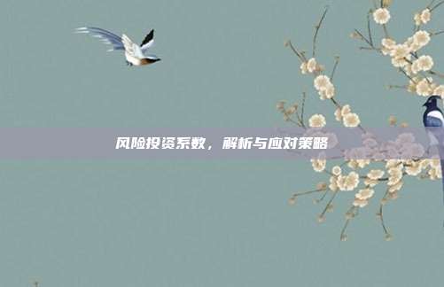 风险投资系数，解析与应对策略