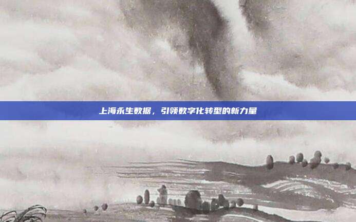 上海永生数据，引领数字化转型的新力量