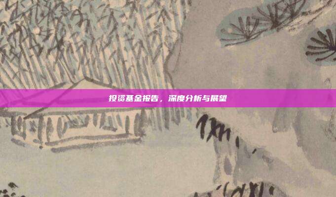 投资基金报告，深度分析与展望