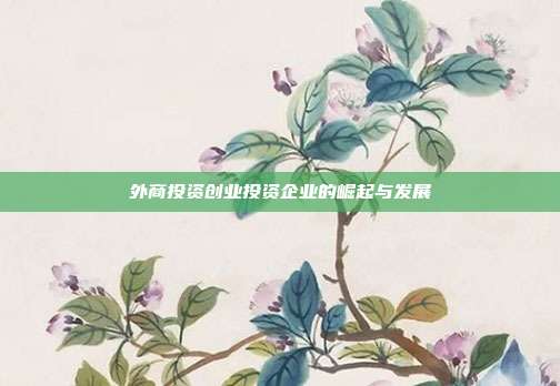 外商投资创业投资企业的崛起与发展