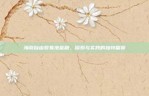 海南自由贸易港金融,探索与实践的独特篇章