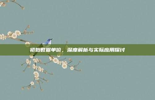初始数据单价，深度解析与实际应用探讨