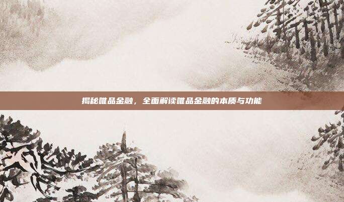 揭秘唯品金融，全面解读唯品金融的本质与功能