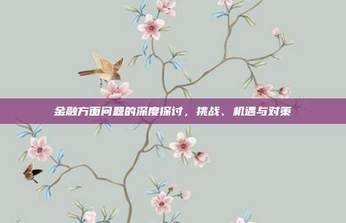 金融方面问题的深度探讨，挑战、机遇与对策