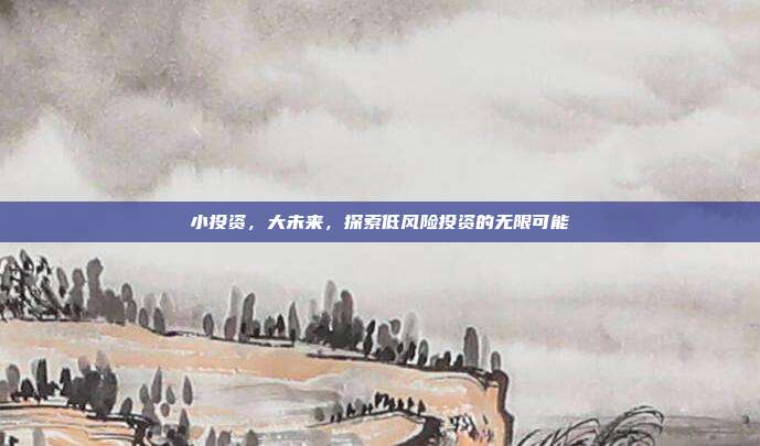 小投资，大未来，探索低风险投资的无限可能
